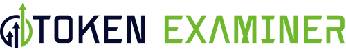 Token Examiner